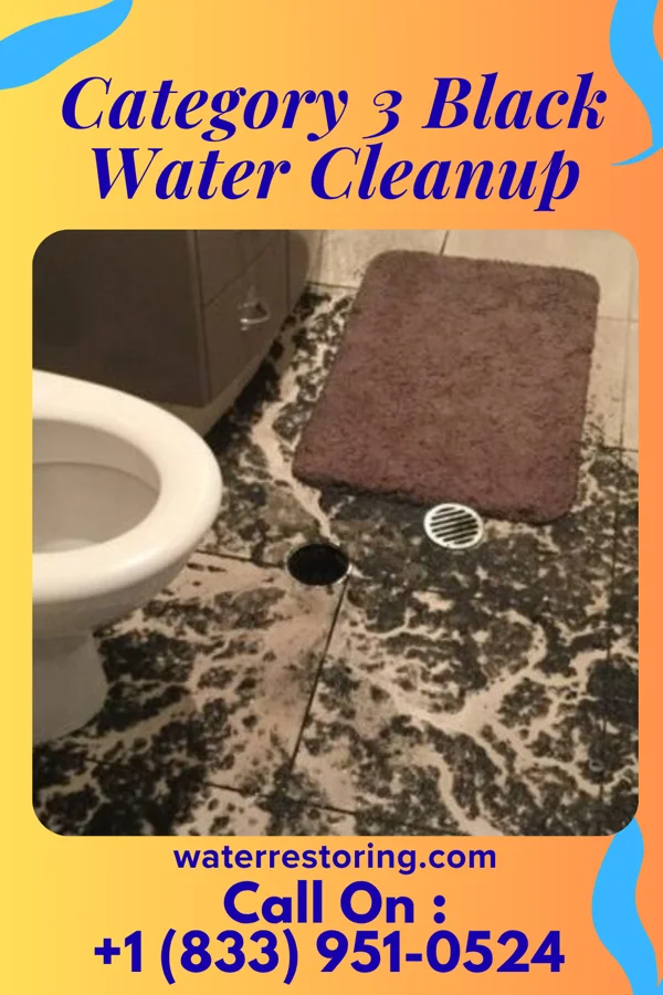 Category 3 Black Water Cleanup in Woodlawn Park, KY