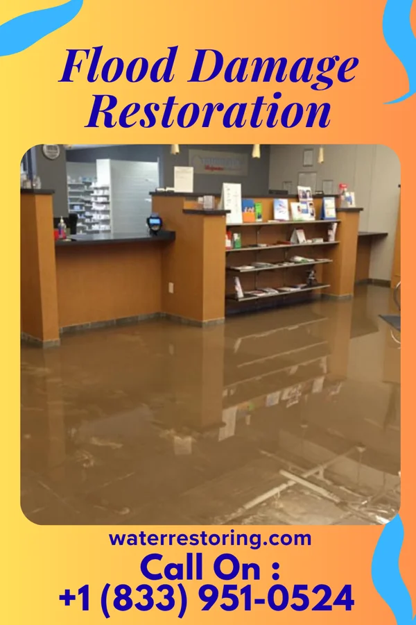 Flood Damage Restoration in Woodlawn Park, KY