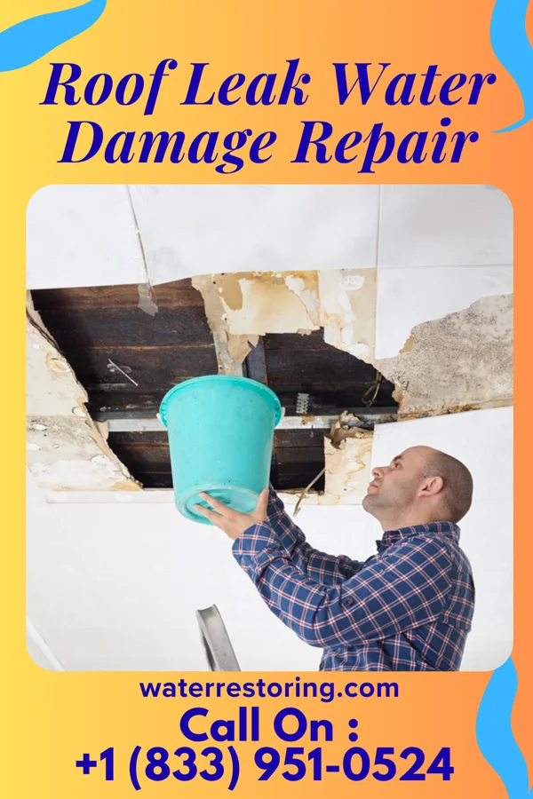 Roof Leak Water Damage Repair in Woodlawn Park, KY